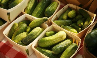 黄瓜有几种 黄瓜的品种介绍