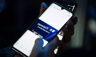 华为荣耀怎么升级鸿蒙系统 华为荣耀升级鸿蒙系统方法介绍