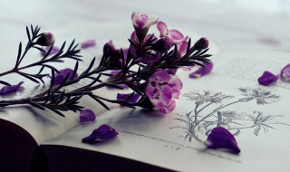 疏怎么读 疏读法