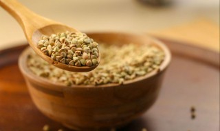 荞麦是什么 荞麦介绍