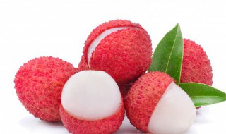 荔枝寓意 荔枝有什么寓意