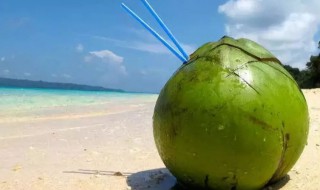 椰子是什么颜色的 椰子简单介绍