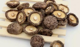 香菇可以和哪些菜搭配 香菇营养价值