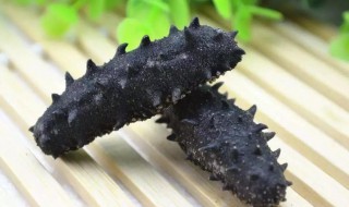 如何清洗干海参 干海参的泡发及清洗方法