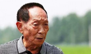 袁隆平的贡献是什么 袁隆平的品质和精神