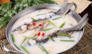 豆腐鲫鱼汤的家常做法 豆腐鲫鱼汤怎么做