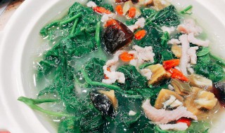 上汤桑叶的做法 上汤桑叶的做法是什么