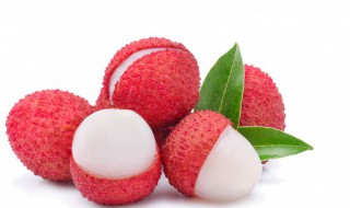 泡荔枝酒瓶子不能装满吗 泡荔枝酒瓶子可以装满对吗