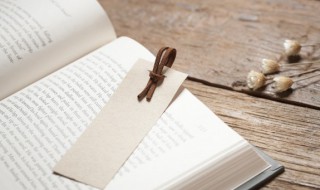 职怎么读 职的含义