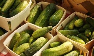 黄瓜可以蒸热吃吗 黄瓜可不可以蒸热吃