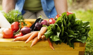 蚝油青菜牛肉的做法 蚝油青菜牛肉怎么做