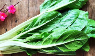 牛皮菜又名厚皮菜的做法 牛皮菜又名厚皮菜的做法介绍