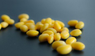 家庭自制养生纳豆的做法 家庭自制养生纳豆方法