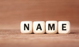 诺字取名寓意 诺字取名寓意是什么