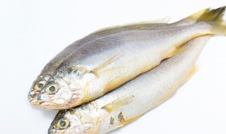 麻辣小黄鱼的做法 麻辣小黄鱼怎么做