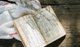 经典励志短句小学生 小学生奋斗格言经典短句