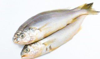 黄花鱼怎么炖好吃 大黄花鱼怎么做