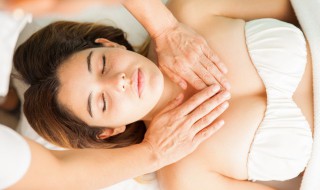 蚂蚁上树是啥意思是什么服务 蚂蚁上树的解释