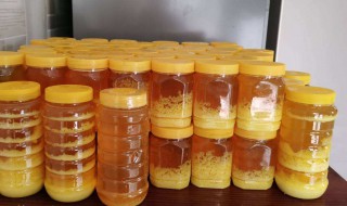 枣花蜜和洋槐蜜哪个好 槐花蜜和枣花蜜哪个好,有什么区别?