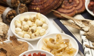 女贞子的作用 女贞子的作用一览