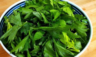 芹菜叶汤 芹菜叶汤的做法