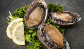 鲍鱼怎么煲汤 如何制作鲍鱼汤