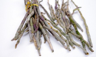 石斛怎么煲汤最好 如何制作石斛汤