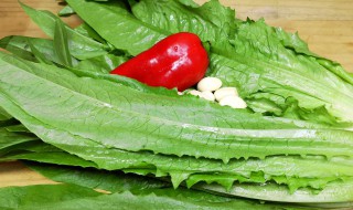 油麦菜是不是莴笋叶子 油麦菜是莴笋叶子吗