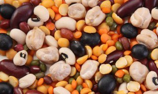 豆馅的做法大全 有关豆馅的做法大全