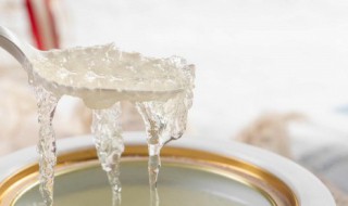 燕窝怎样炖煮 燕窝如何炖煮