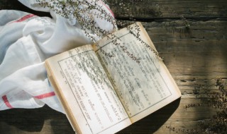 敞怎么组词 敞组词及解释