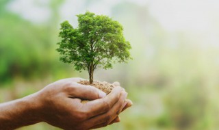 环保产品有哪些 环保产品有什么