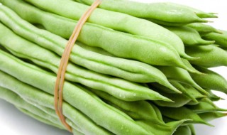 四季豆和豆角的区别 四季豆和豆角的区别有啥