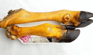 牛脚怎么做 牛脚如何做