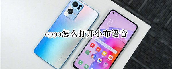 oppo怎么打开小布语音（oppo手机语音小布在哪里可以打开）