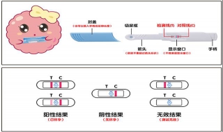 验孕棒怎么看 如何使用验孕棒？