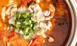 西红柿酸菜鱼 如何做西红柿酸菜鱼