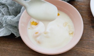 如何用奶粉制作酸奶 有3个要点