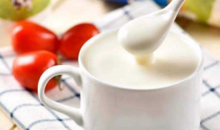 酸奶怎么制作方法 酸奶价值