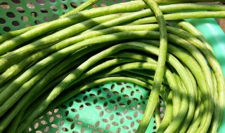 酸豆角制作方法 如何制作酸豆角