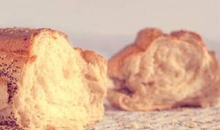 如何买到真正的全麦面包 买面包的方法