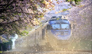 现在坐火车都需要注意什么 保管好火车票