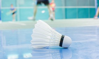 一个羽毛球上一般有几只羽毛 标准的羽毛球有多少根羽毛