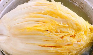 酸菜快速腌制方法 酸菜快速腌制方法是什么