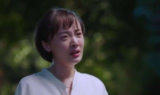 齐明月以家人之名大结局 齐明月以家人之名大结局介绍