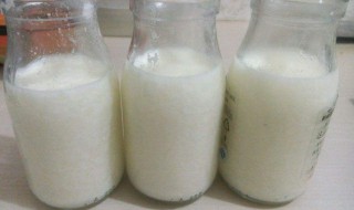 制作酸奶的方法 制作酸奶的方法是什么