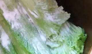 腌咸菜的小方法 如何腌制咸菜