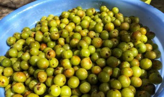 怎么做橄榄果 橄榄果的做法