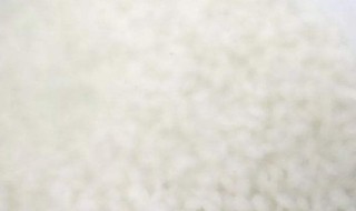 简单煮粥的方法 有什么实用的技巧