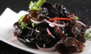 鲜云耳的制作方法 云耳的价值